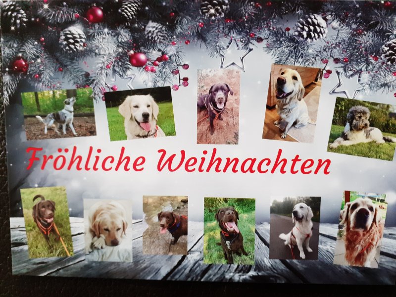 Postkarte_frohe Weihnachten.jpg